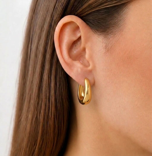 CHLOE Earrings